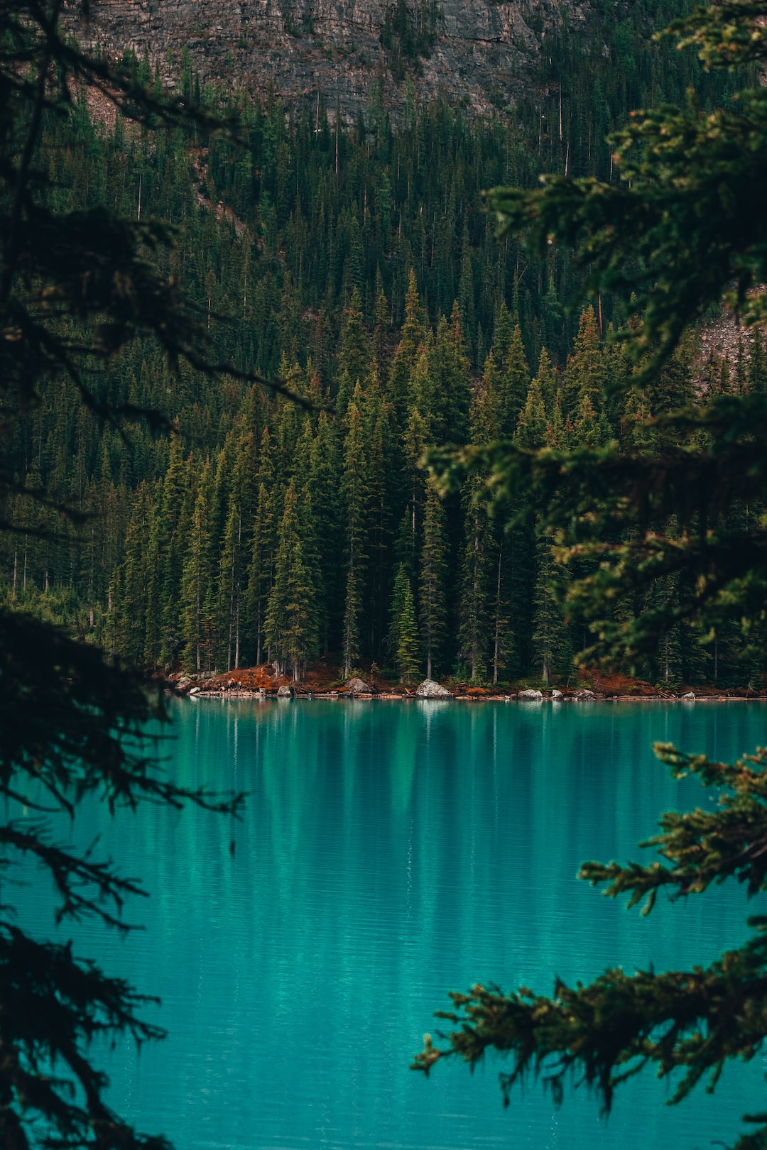 Moraine Lake through the trees