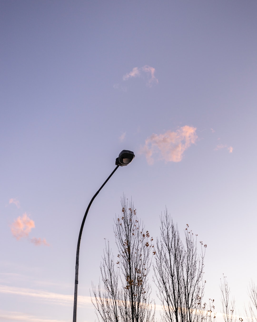 Streetlight over top of some trees with a soft pink sky and light orange clouds.