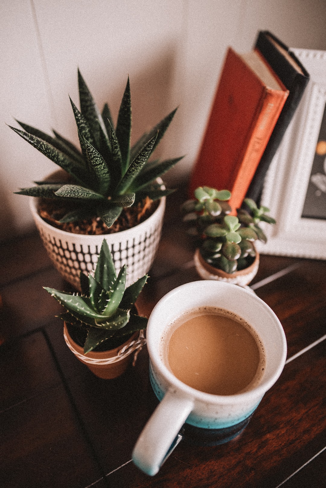 coffee, succulent plants and books.