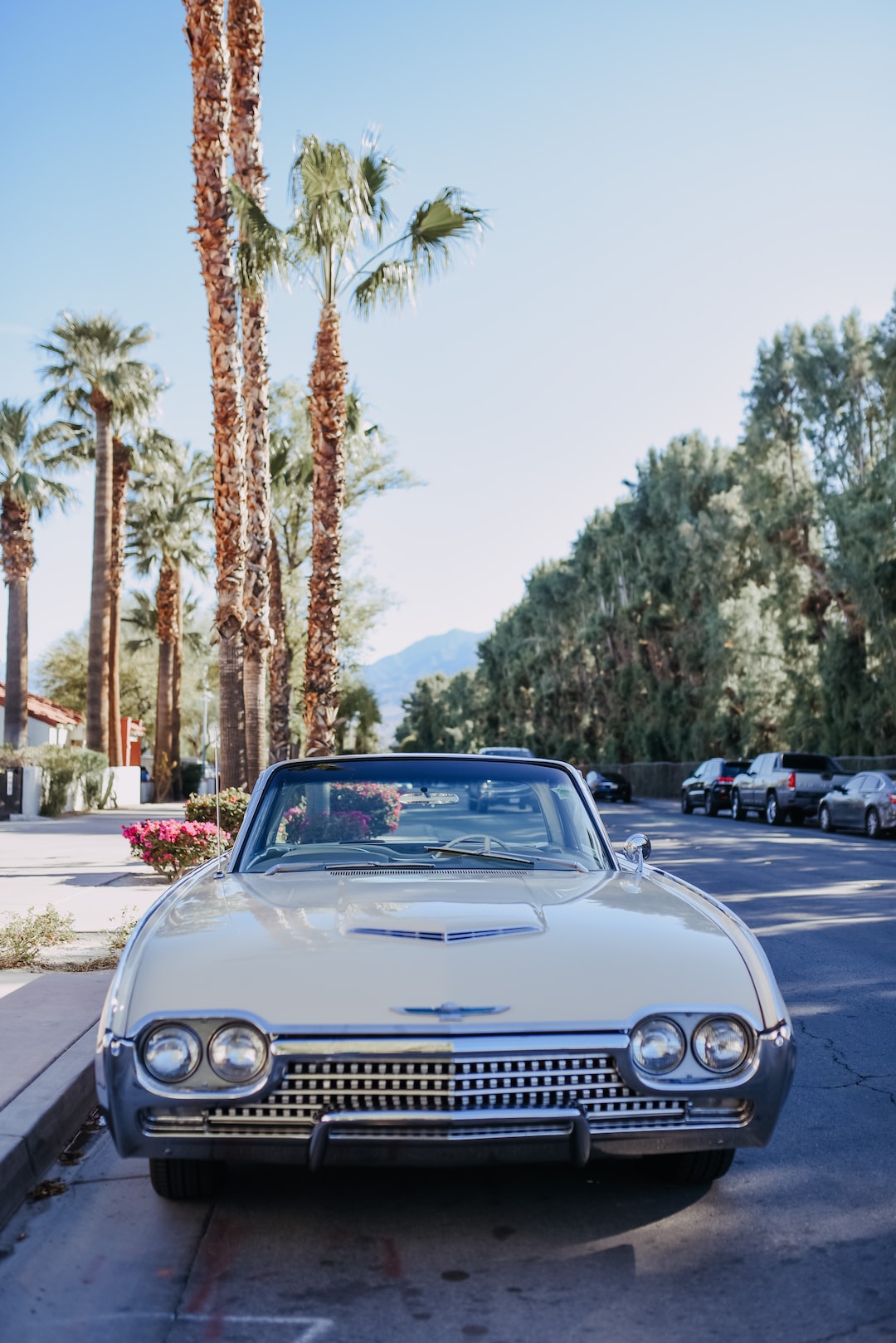 Vintage Car / Palm Springs