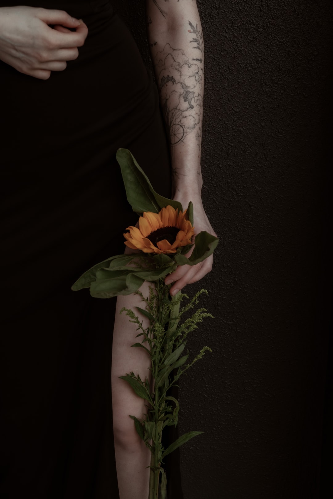 aesthetics sunflower