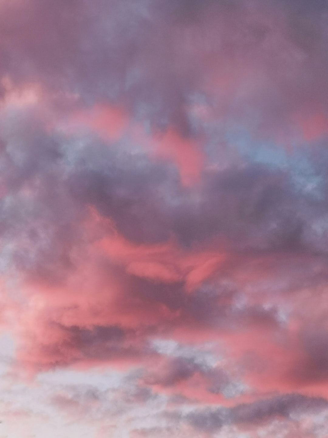 Pink Cloud