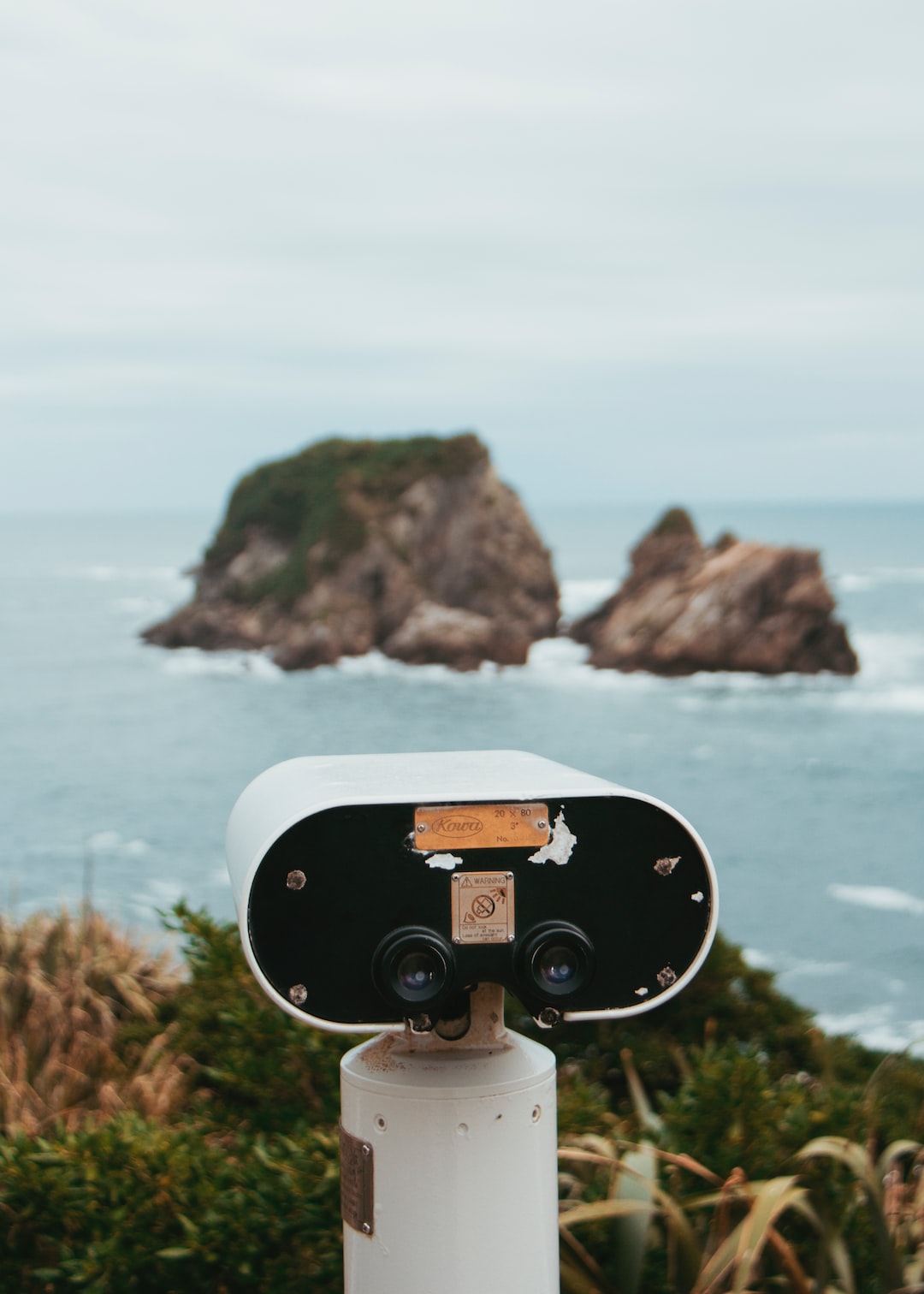 Watching some seals in the distance on a vintage little binoculars in New Zealand