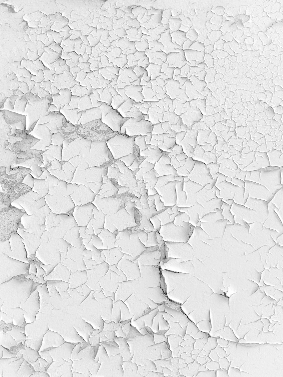 Minimalist image of white paint, cracked and peeling. 