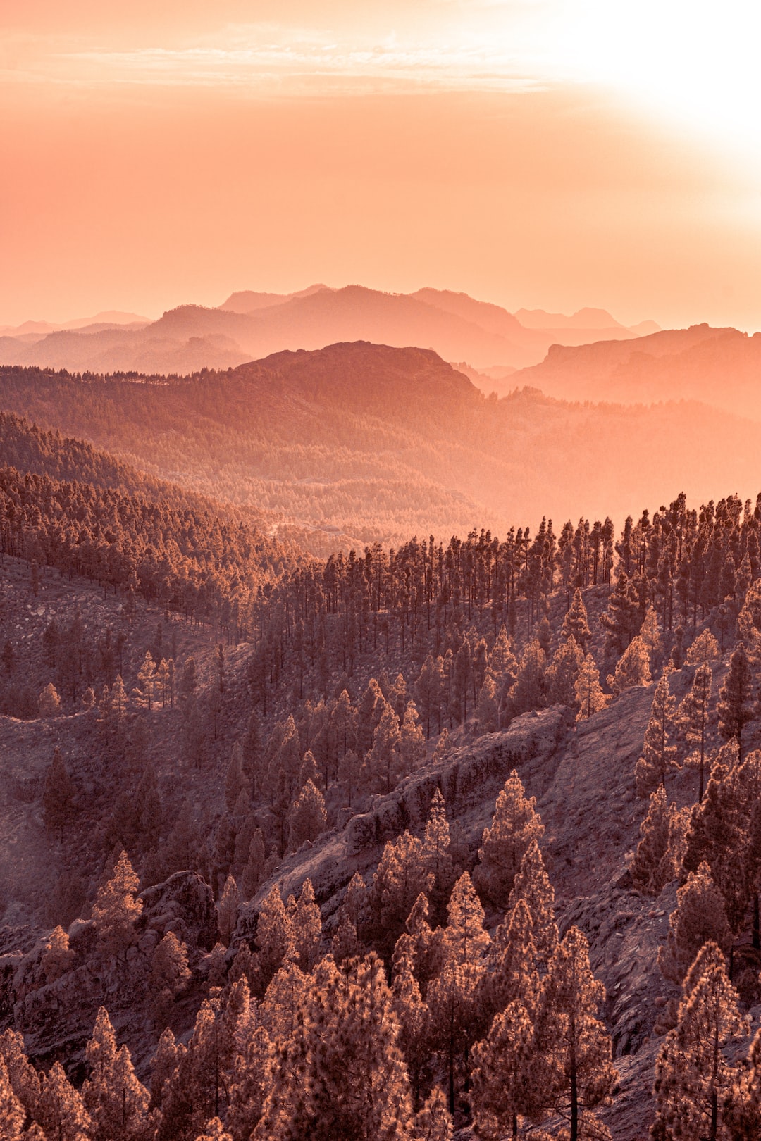 Sunset view from Pico de Las Nieves, Gran Canaria, Spain V