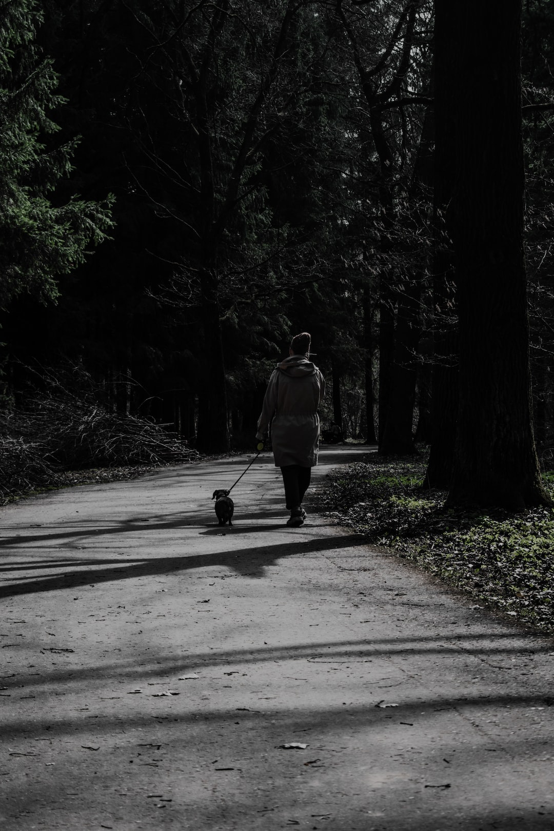 Walking girl with dog