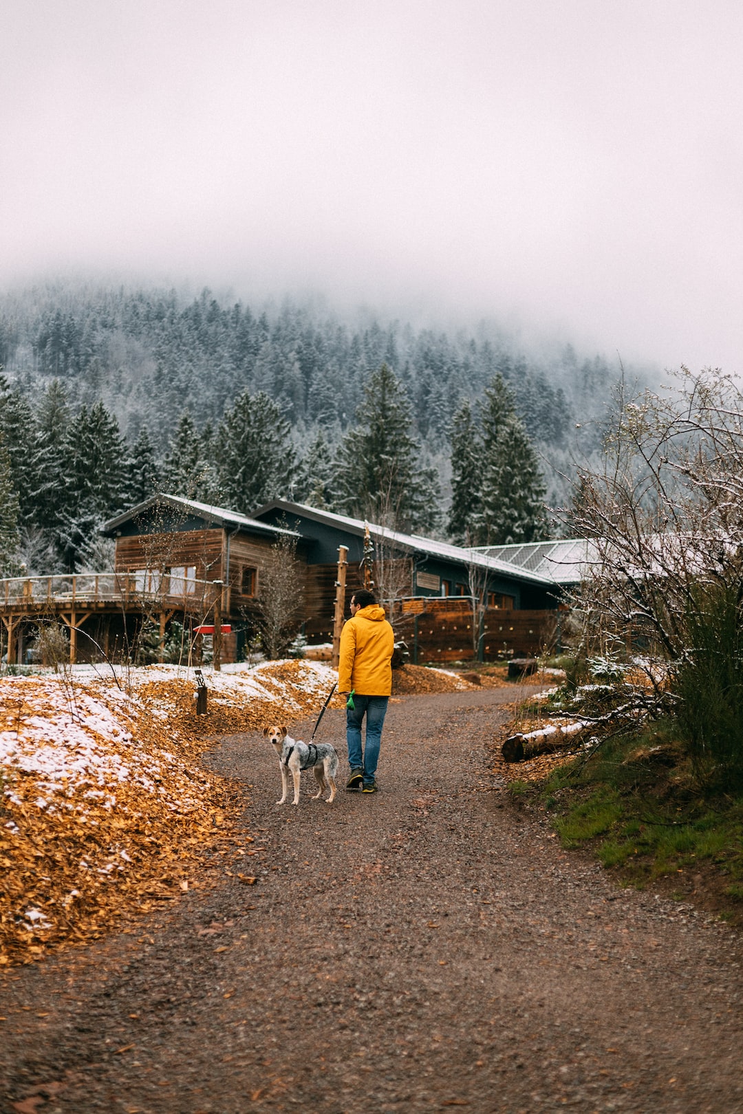 Went hiking in the French Alsace region with my girlfriend not so long ago. We stayed in a Nutchel cabin, offering a great stay with almost no electricity and a stove to warm you up. 😊