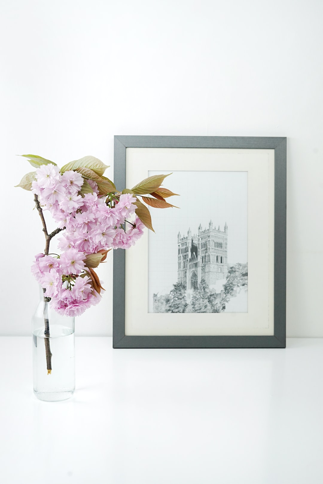 just a quick snap of my flatmate’s drawing of a church, next to a pink blossom