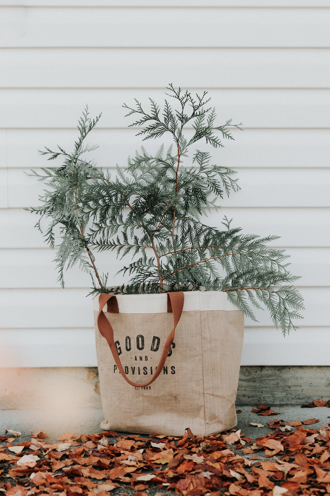 A burlap bag filled with cedar branches. 