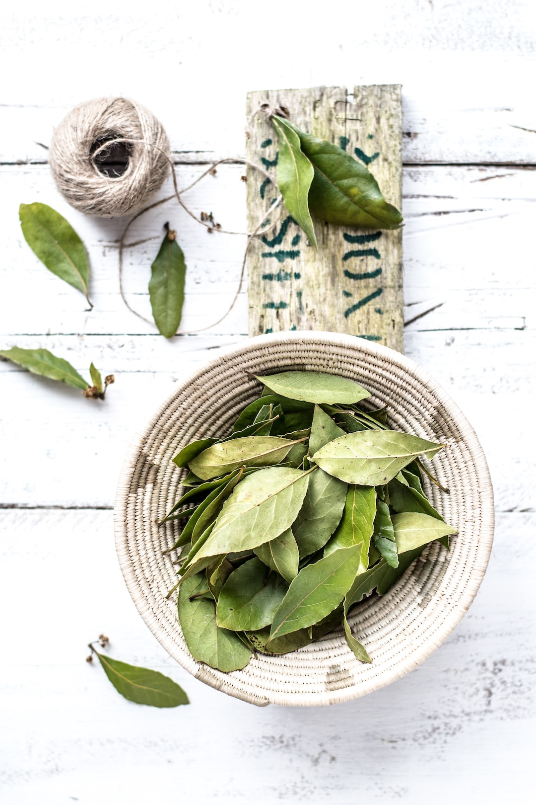 Bay leafs straight from the tree .