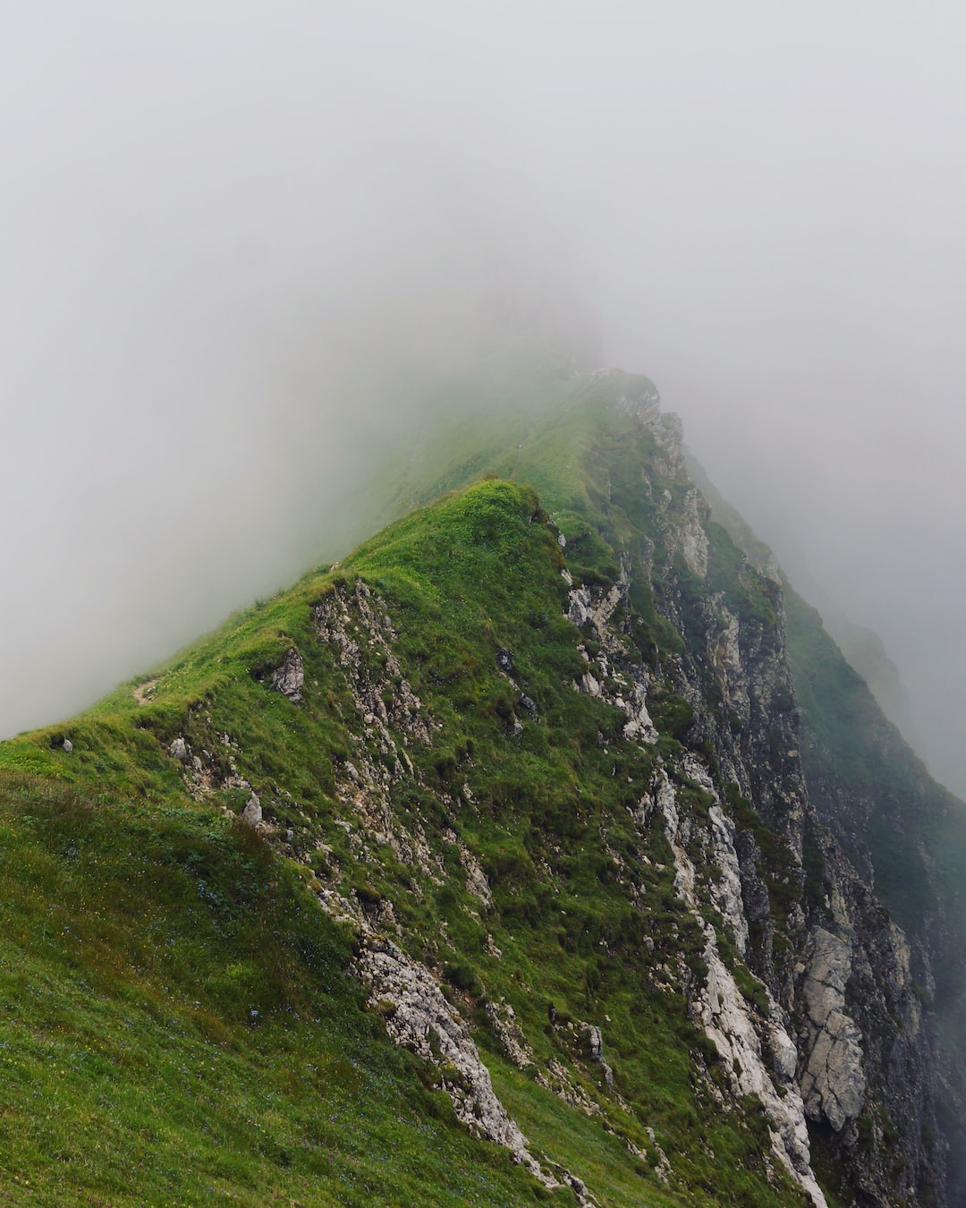 Gradwanderung im Nebel