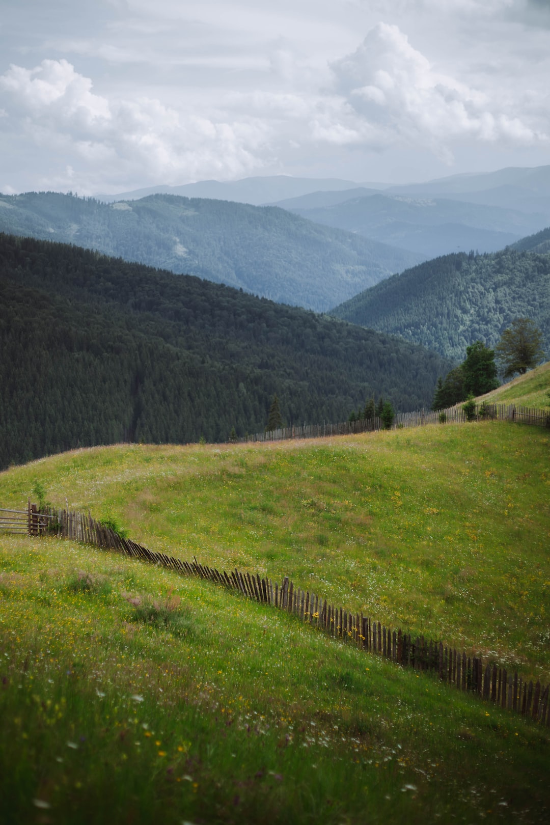 Romanian lands