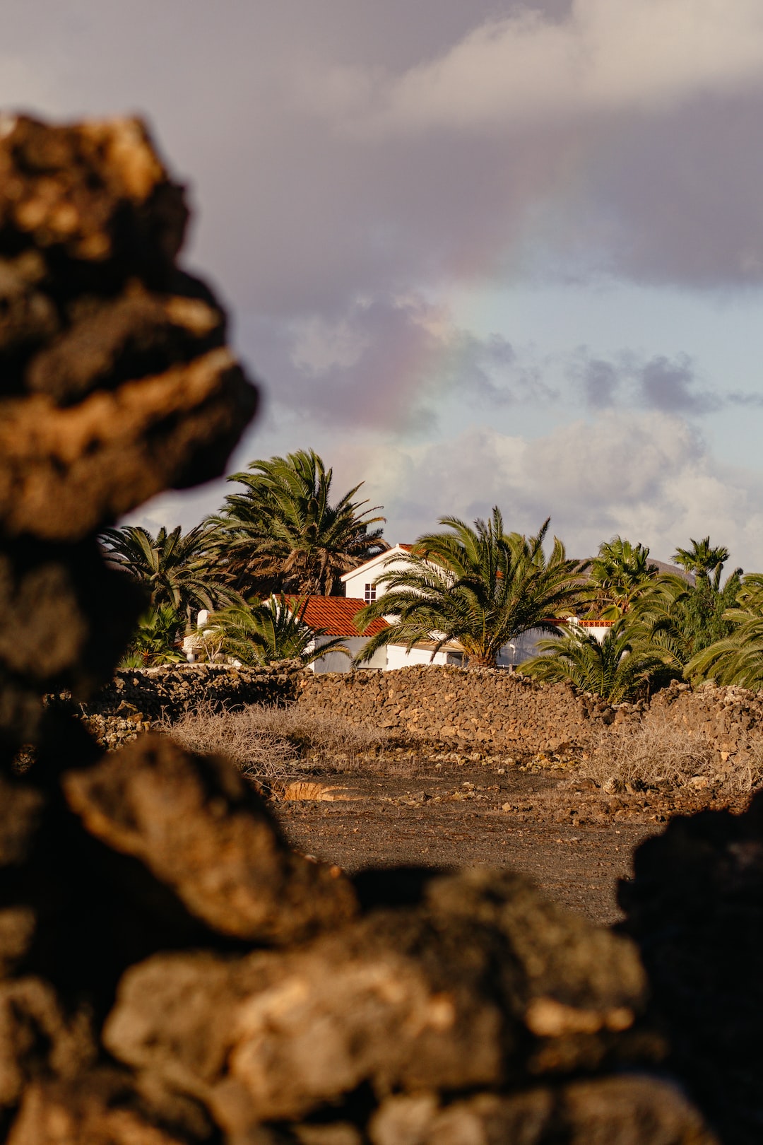 white house with palms and rainbow in the background