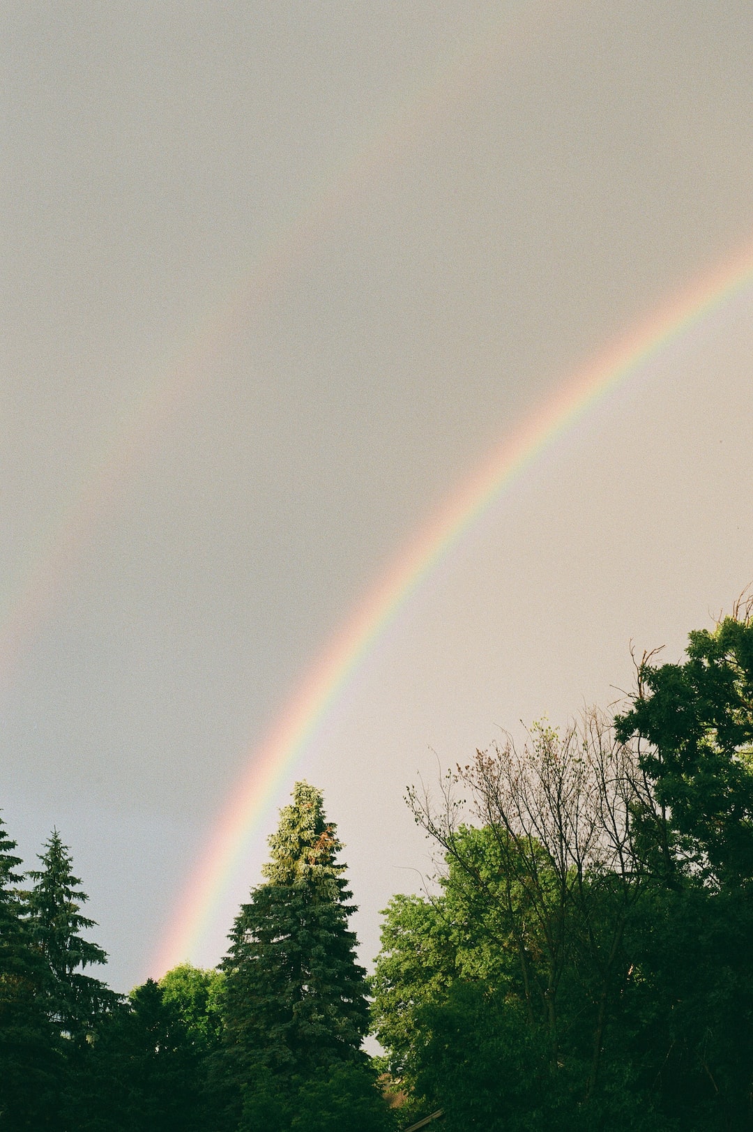 Tops. Fuji C200 rated at 160.