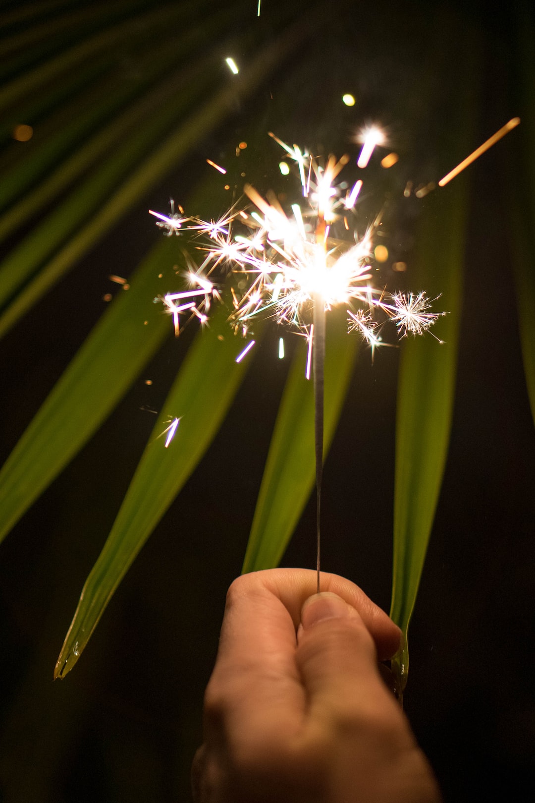 Firework in hand