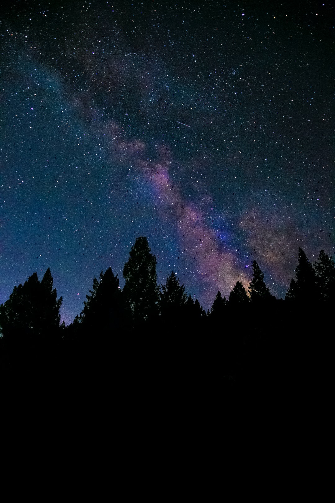 Stars in the night sky with a vibrant view of the Milky Way Galaxy behind dark trees in the forest. 