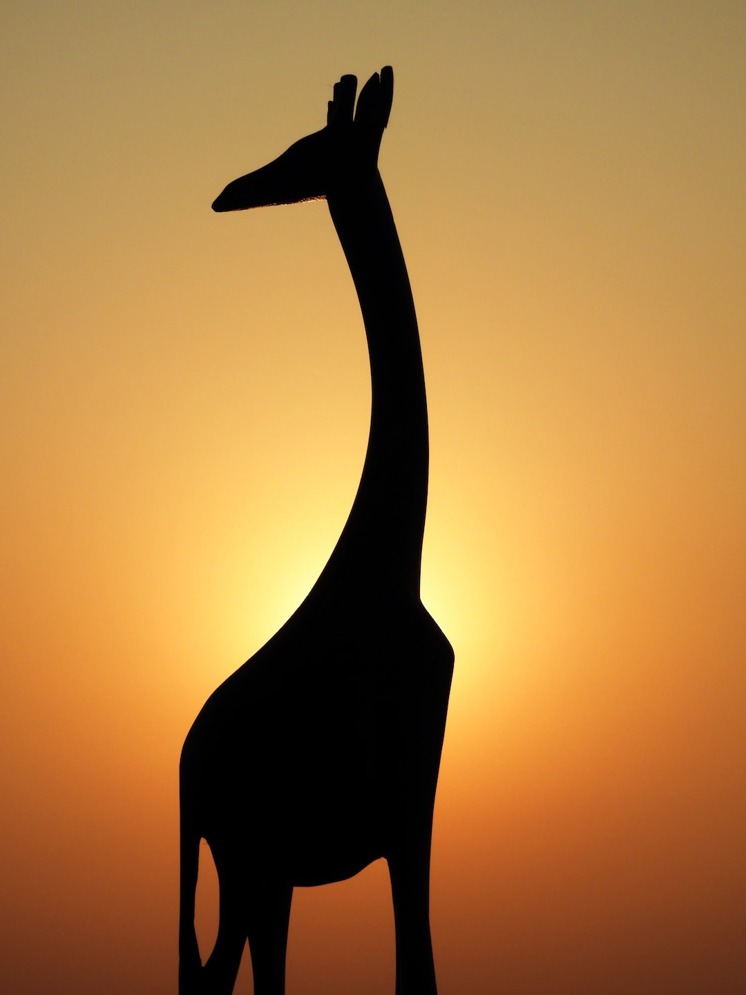 I love silhouettes, and keep trying my hand at capturing the silhouettes of various objects, this one being a wooden giraffe figurine that I placed in my balcony.