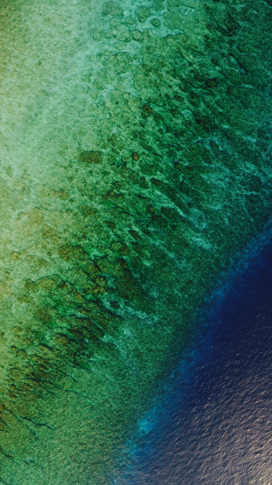 Aerial view of a Maldivian beach.