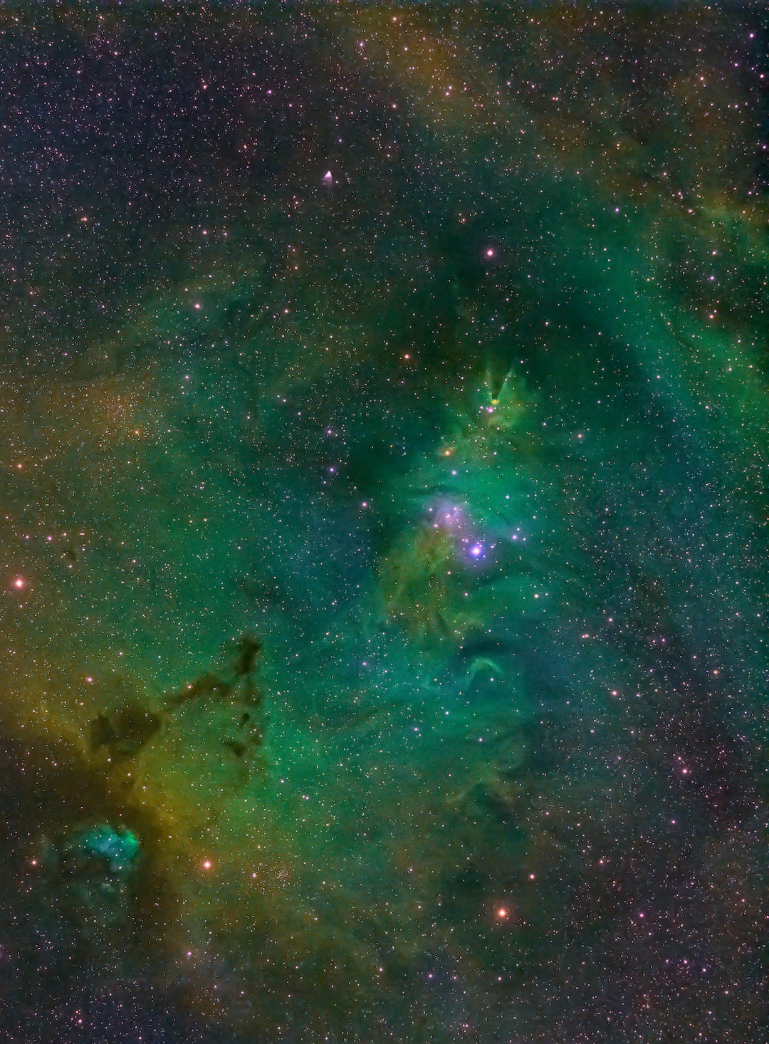 Christmas Tree cluster, Cone nebula and Fox Fur nebula