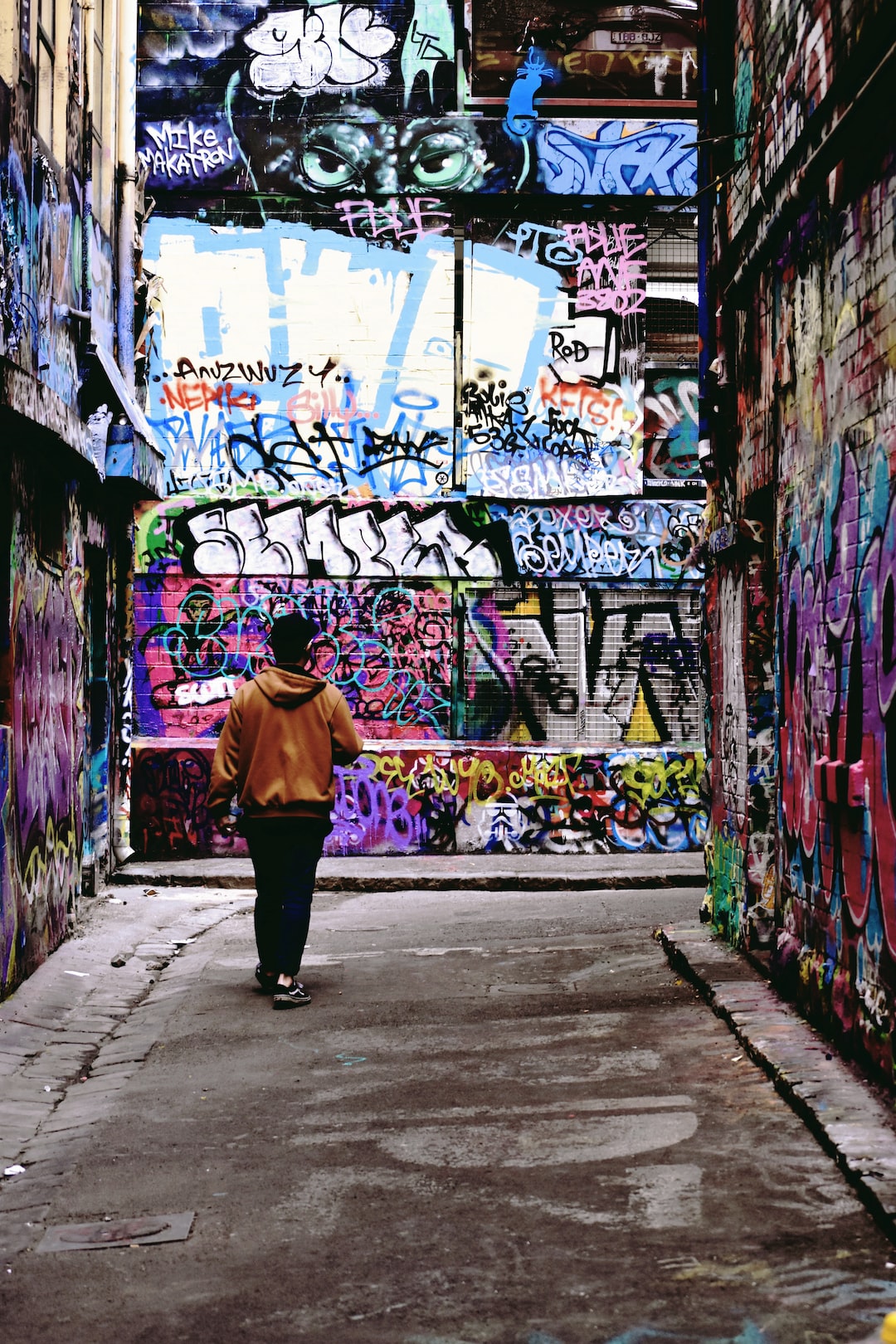 Portrait of the Hosier Lane Graffiti Artwork in Melbourne, Victoria.