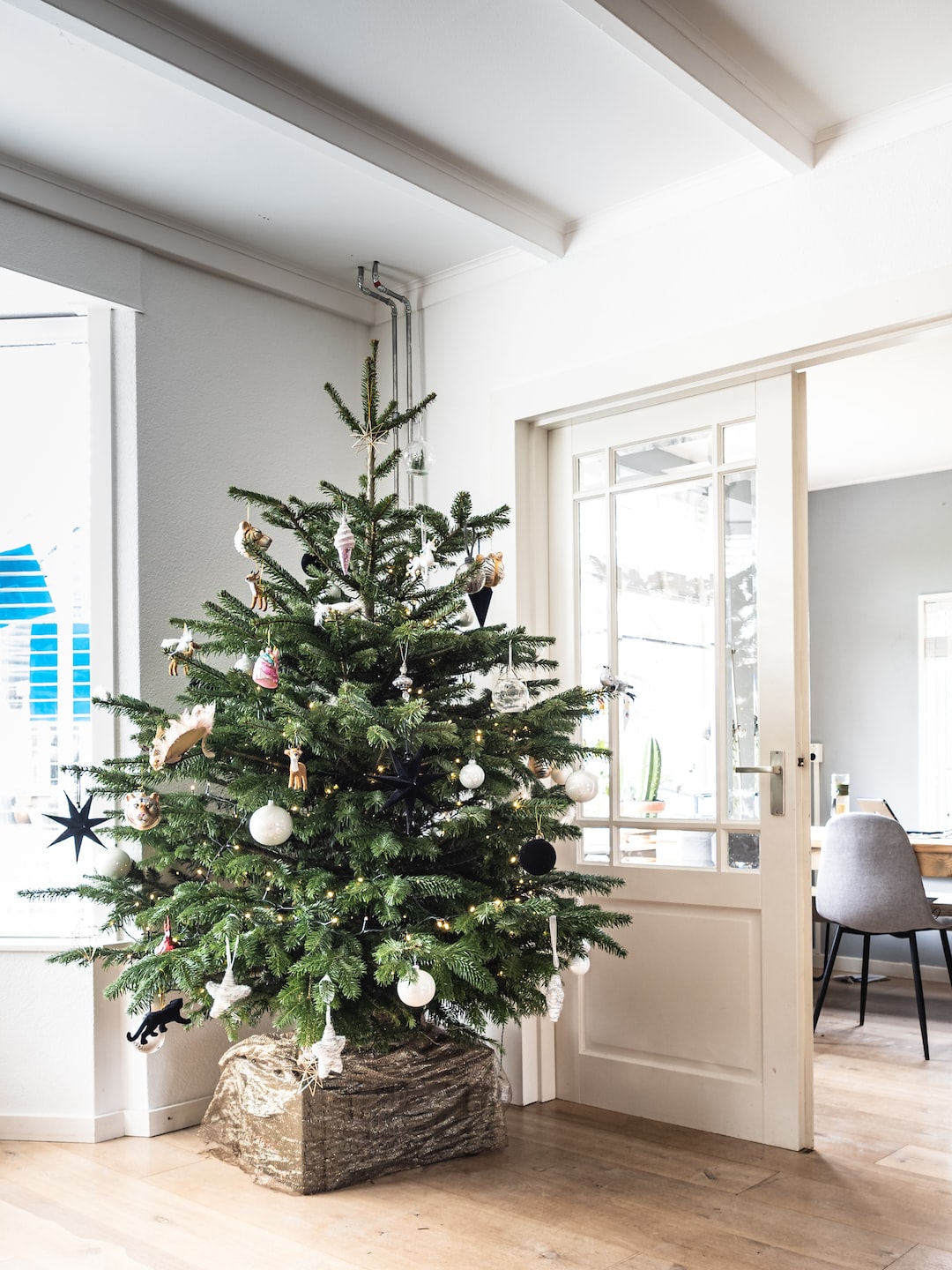 Christmas tree in our living room.