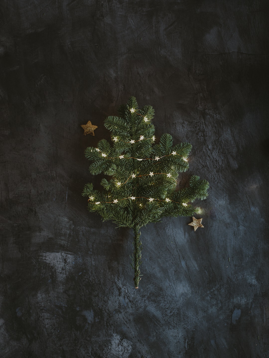 Dark festive Christmas tree shaped flatlay 