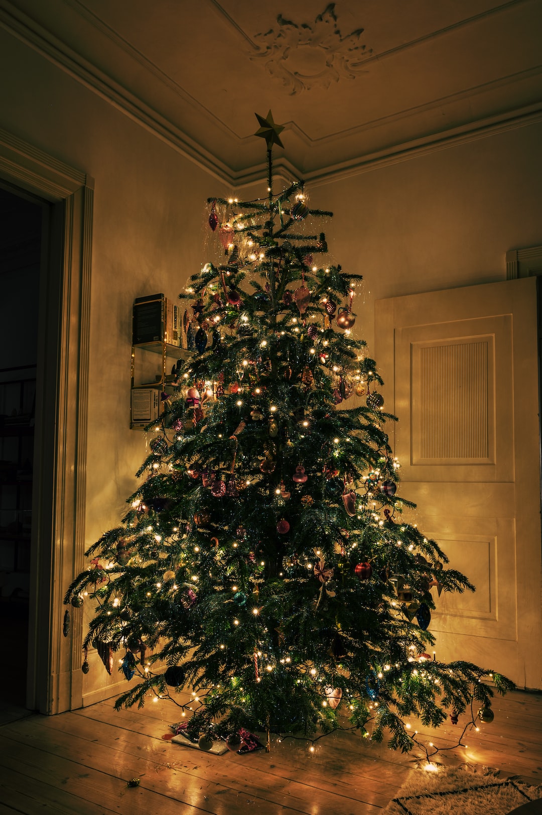 Christmas tree lighting up a living room