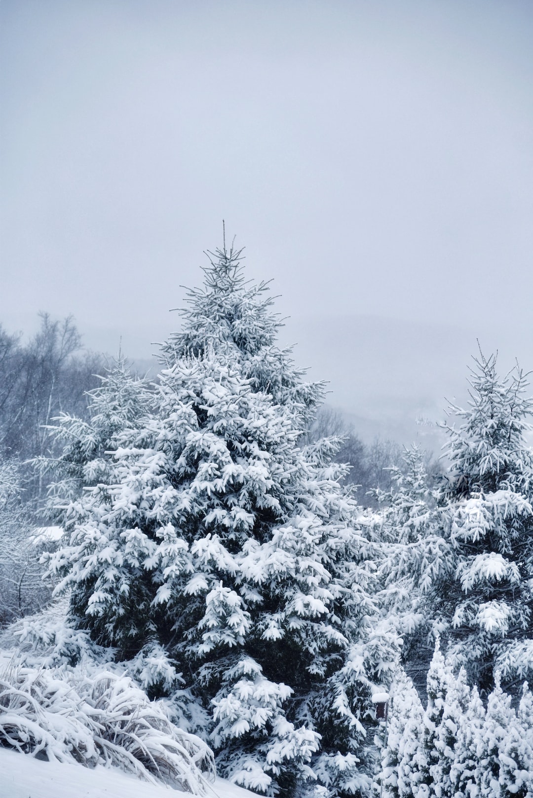 Winter wonderland in New Jersey USA