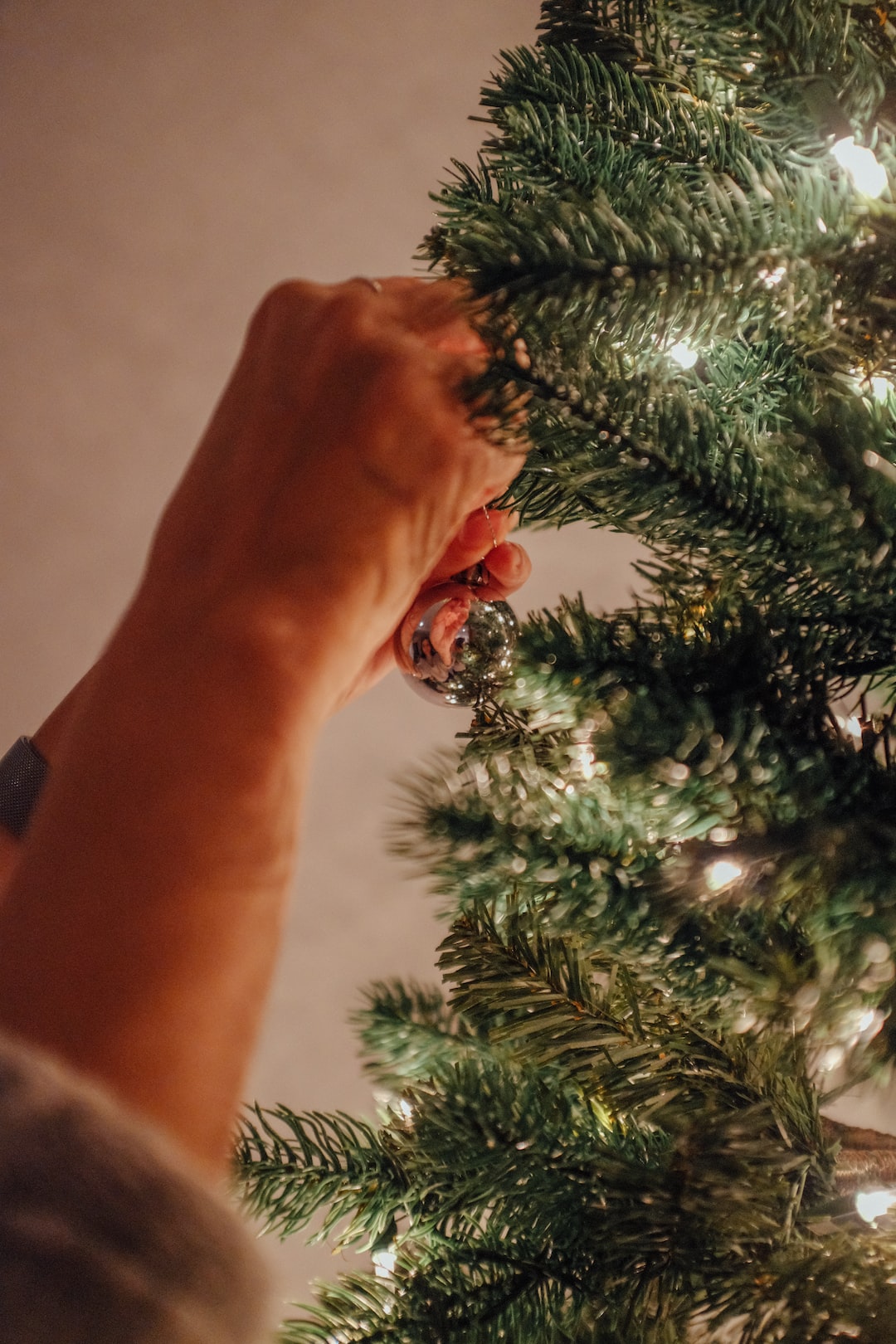 Putting up the Christmas tree