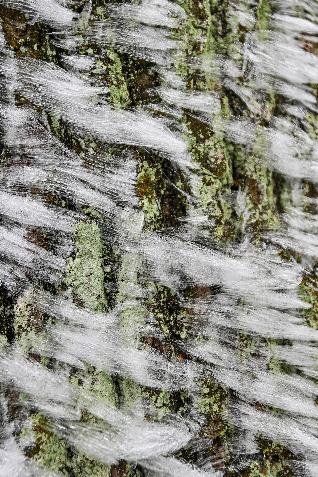 white frozen ice crystals on winter trees