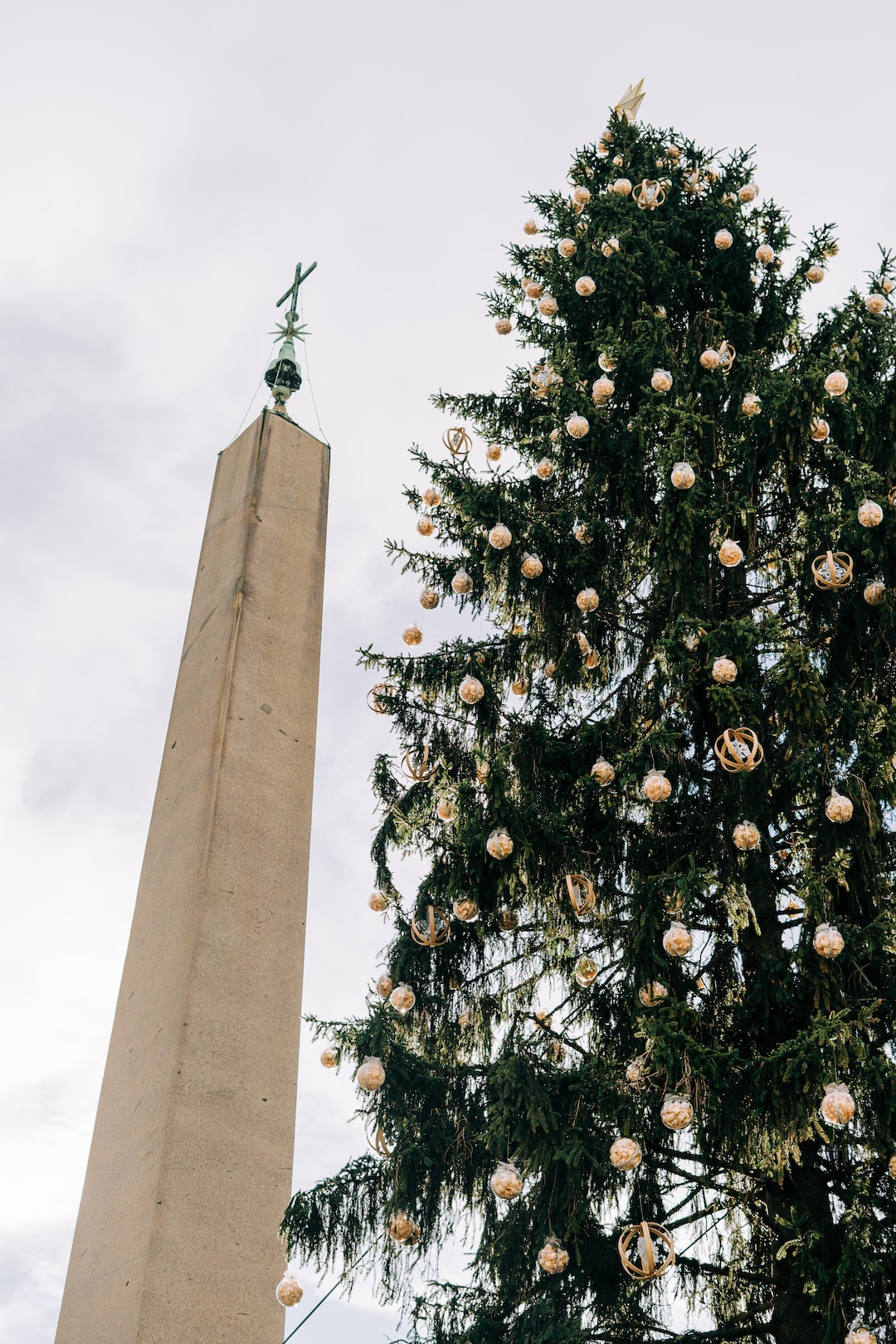 The obelisk and Christmas tree in St Peter's Square, Vatican City