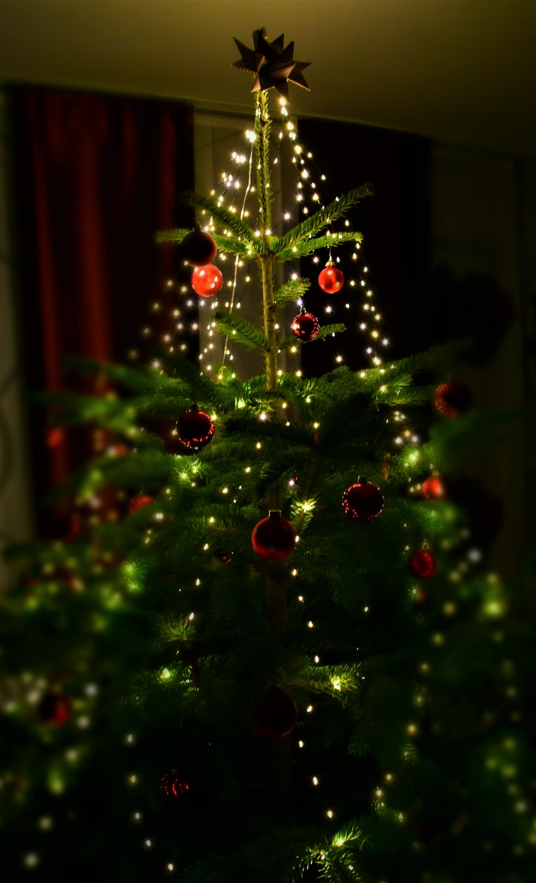 Colorful Christmas Tree