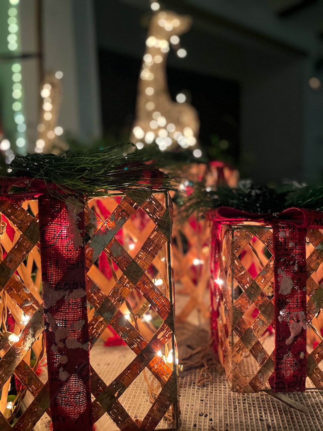 Christmas lights in the front lawn