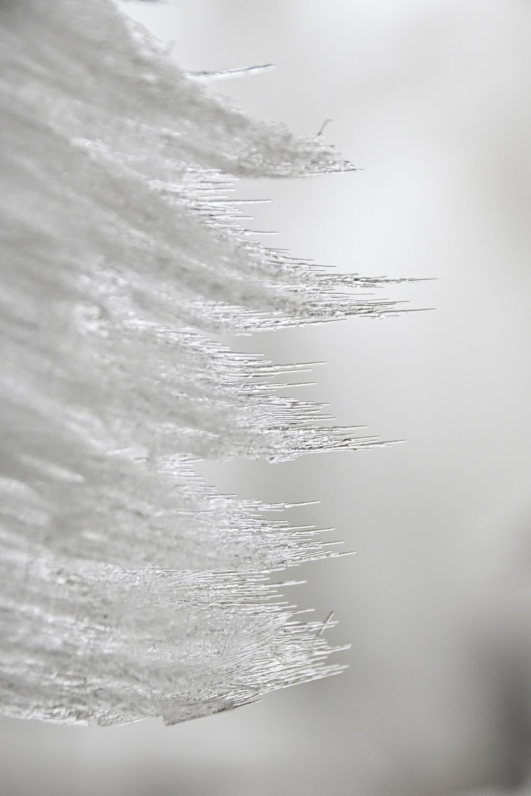 white frozen ice crystals on winter trees