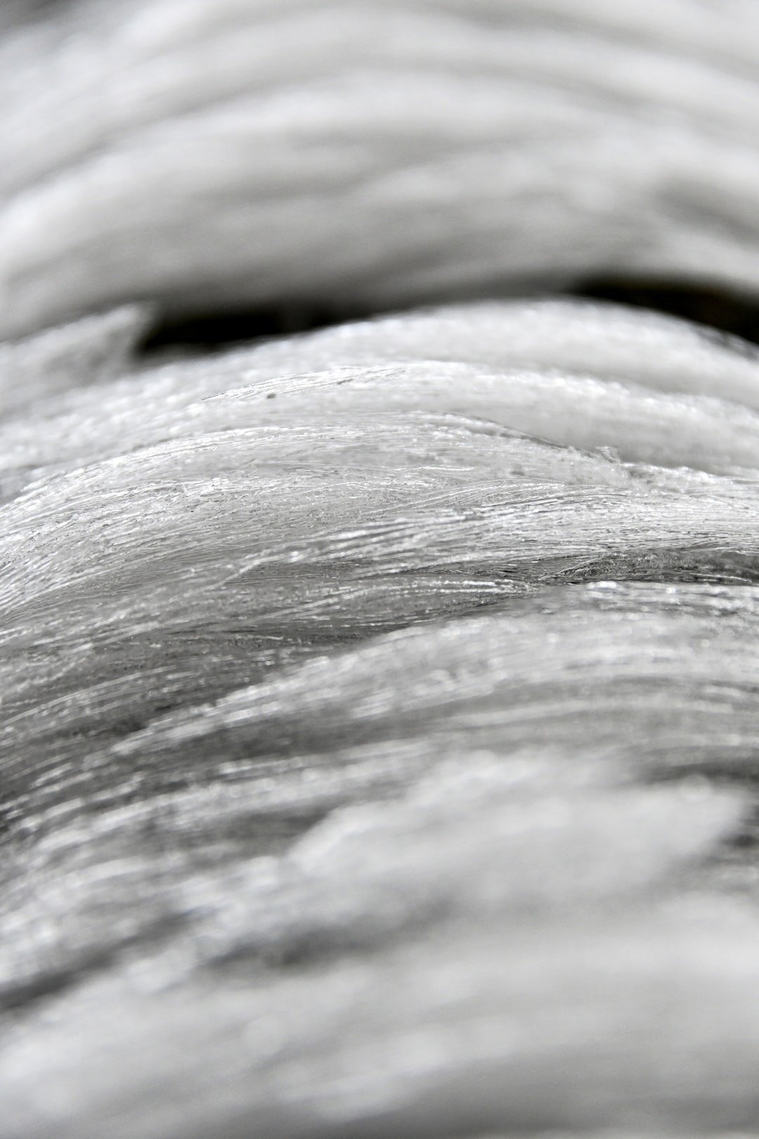 white frozen ice crystals on winter trees