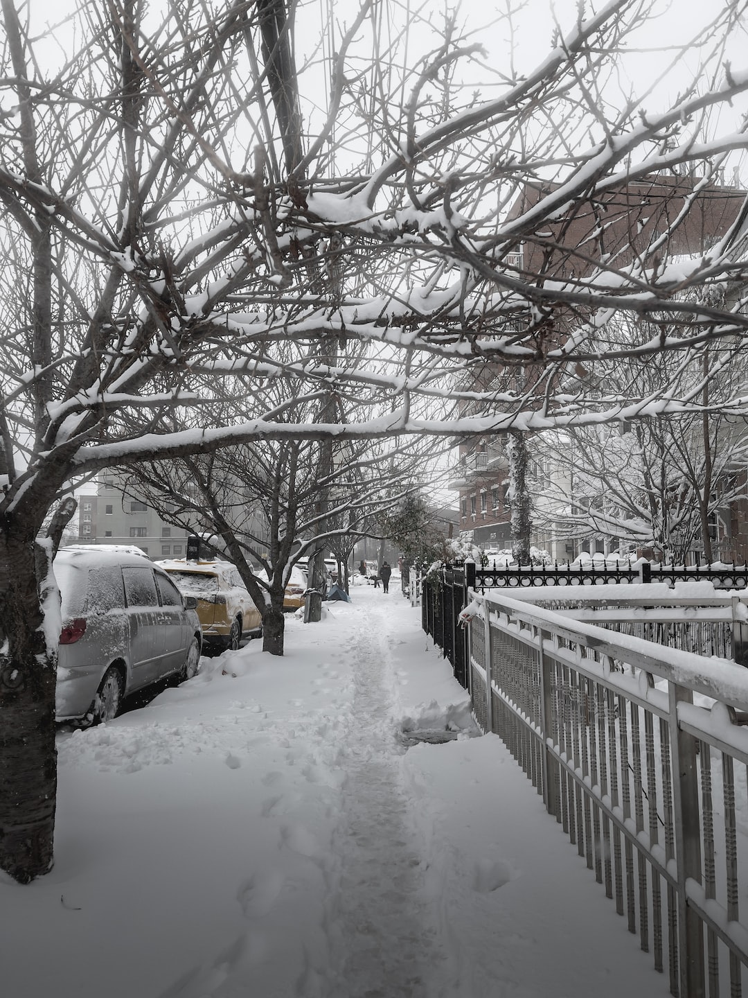 During Snow Storm in NYC Christmas season, in the middle of the pavement in downtown.