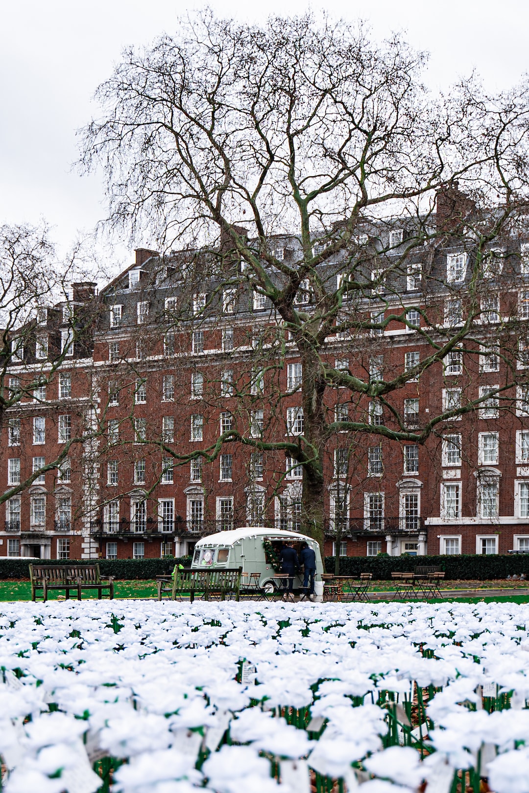 Memorial rose garden at Grosvenor Square - Mayfair - for Christmas in London 