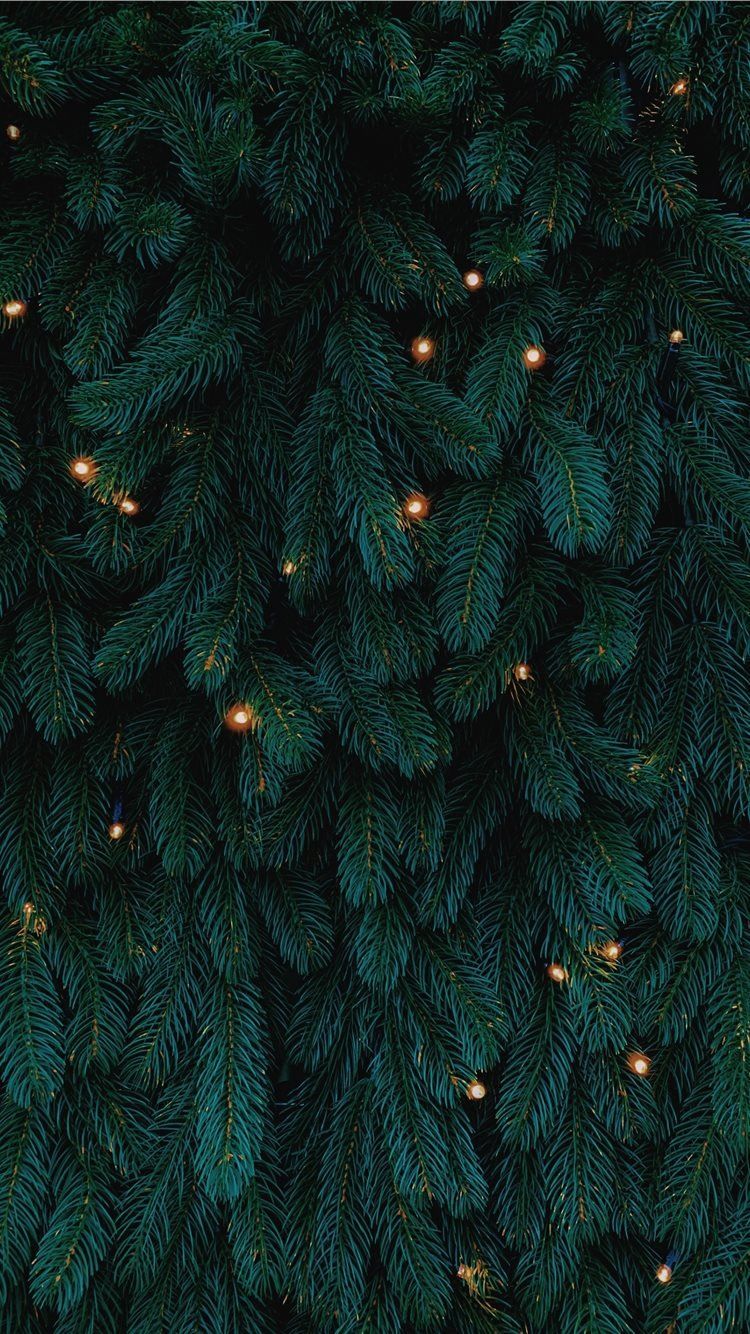 green Christmas tree with lights iPhone 8 Wallpapers