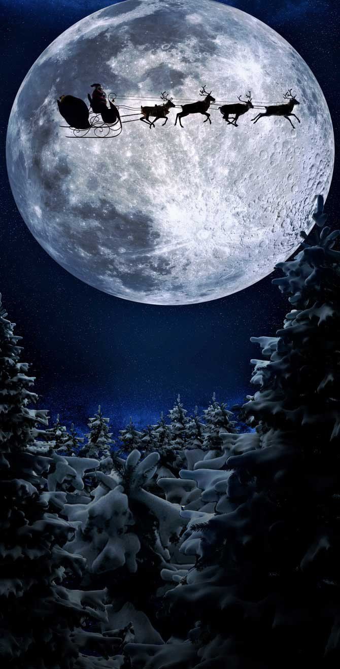 Santa Sleigh Moon Christmas Printed Backdrop  9264
