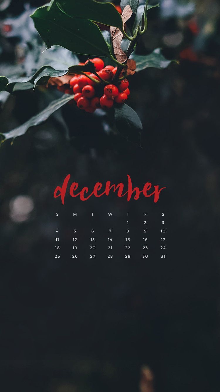 Hello December Downloadable Calendar Freebie  Okay Miss Art  Design