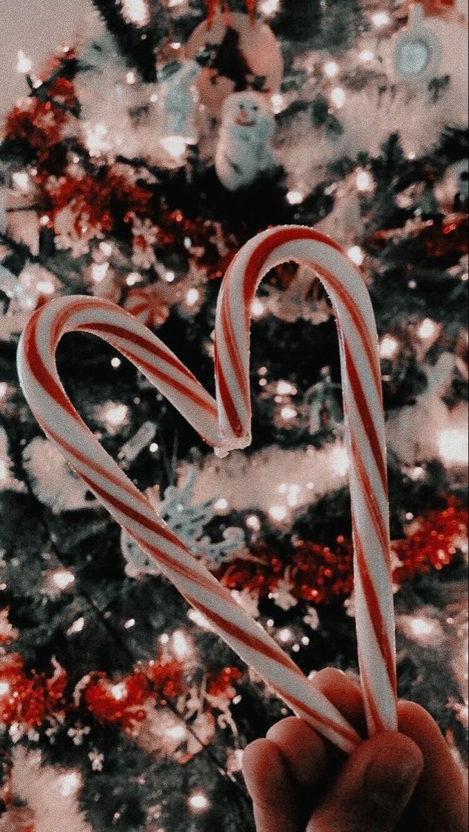 candycane