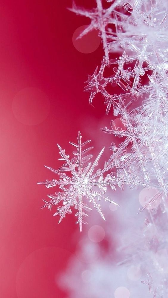 35 Winter iPhone Wallpapers to Spice Up Your Phone