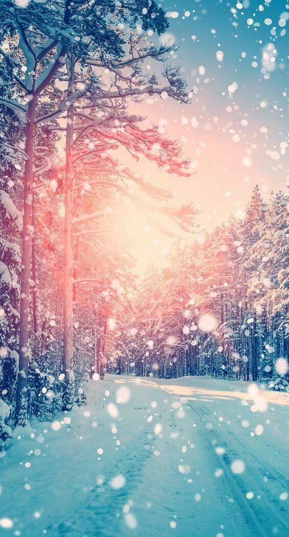 44 Winter iPhone Wallpaper Ideas  Winter Backgrounds for iPhone Free Download