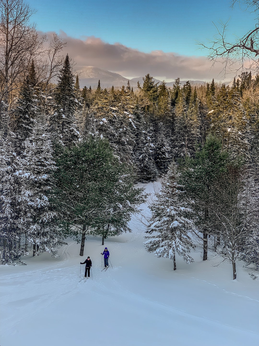 Snow for Thanksgiving