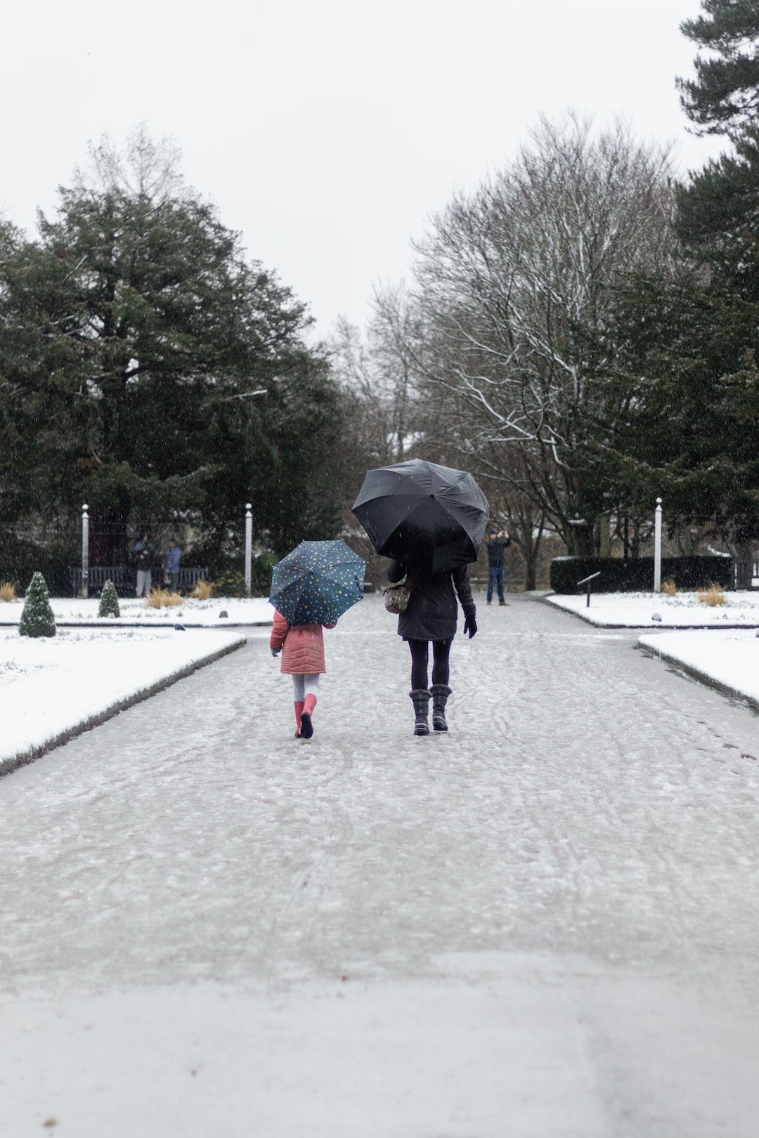 A walk in the snow --- Insta: @reflectedlines