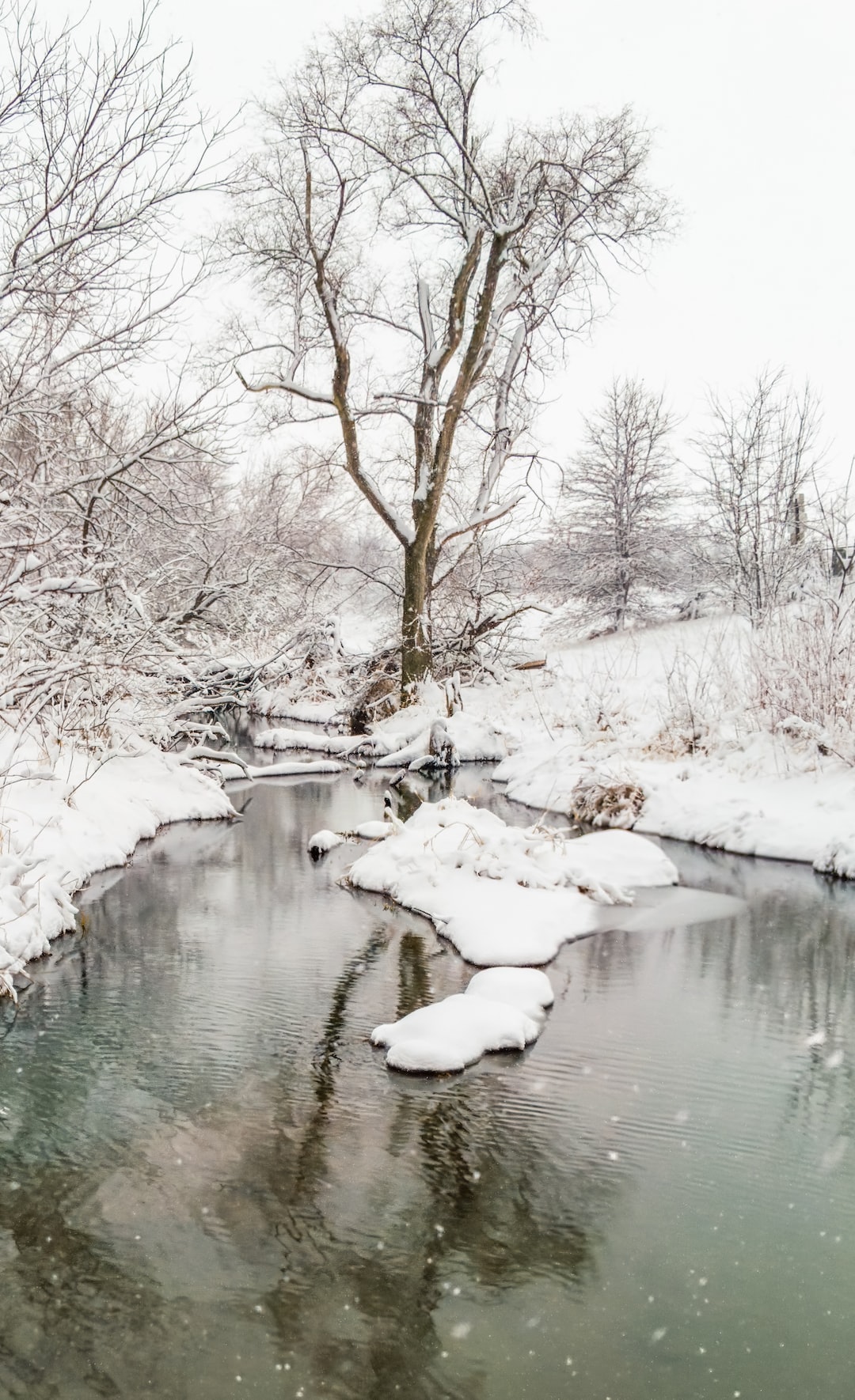 Walnut Creek during a snowstorm.