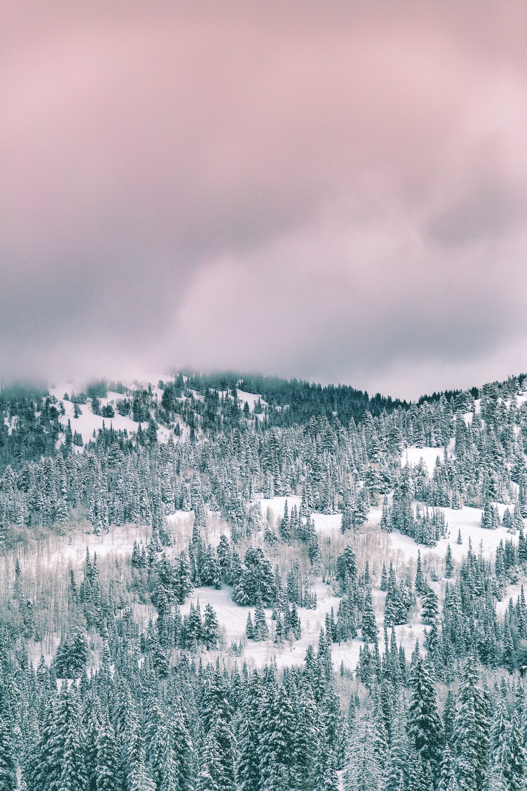 Beautiful winter views on the Unsplash Utah Expedition.