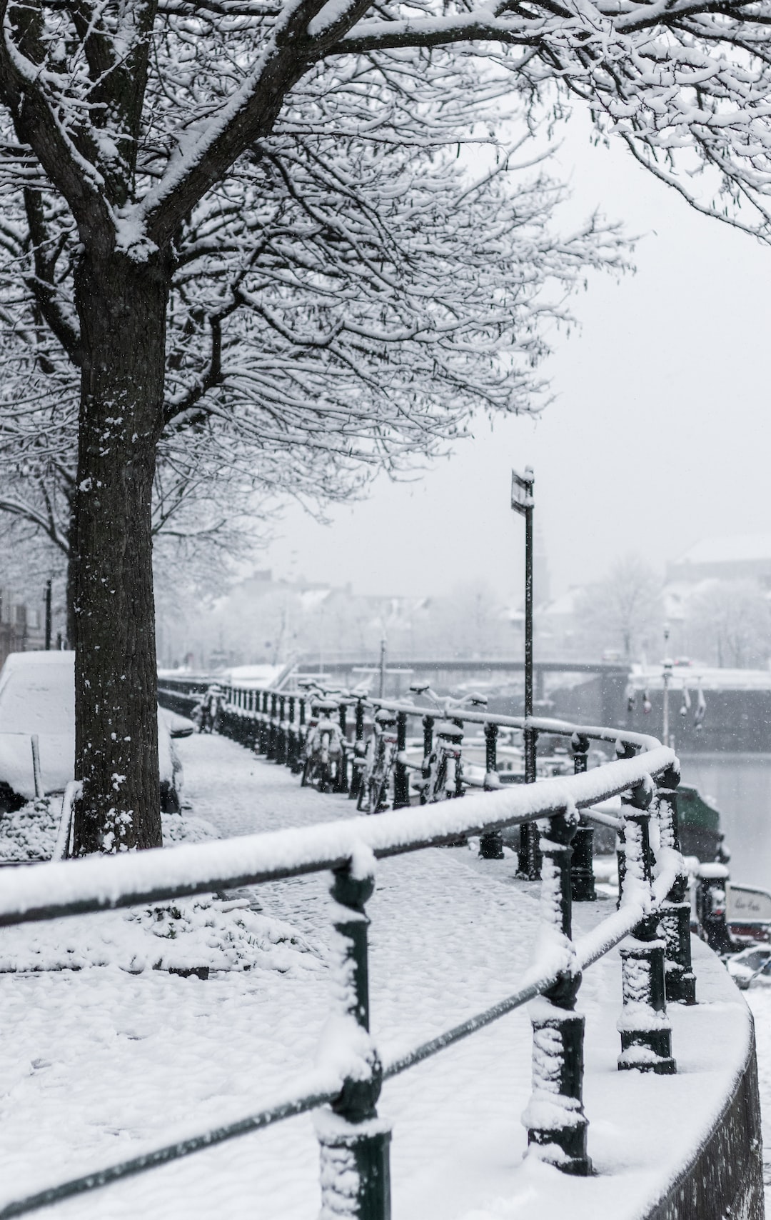 First days of snow