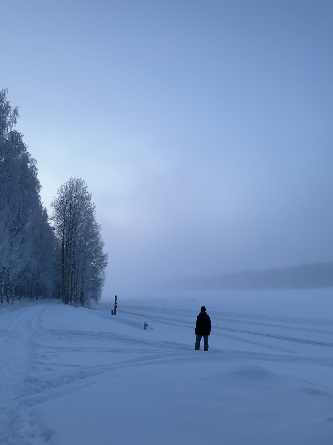 Winter twilight scene from Scandinavia