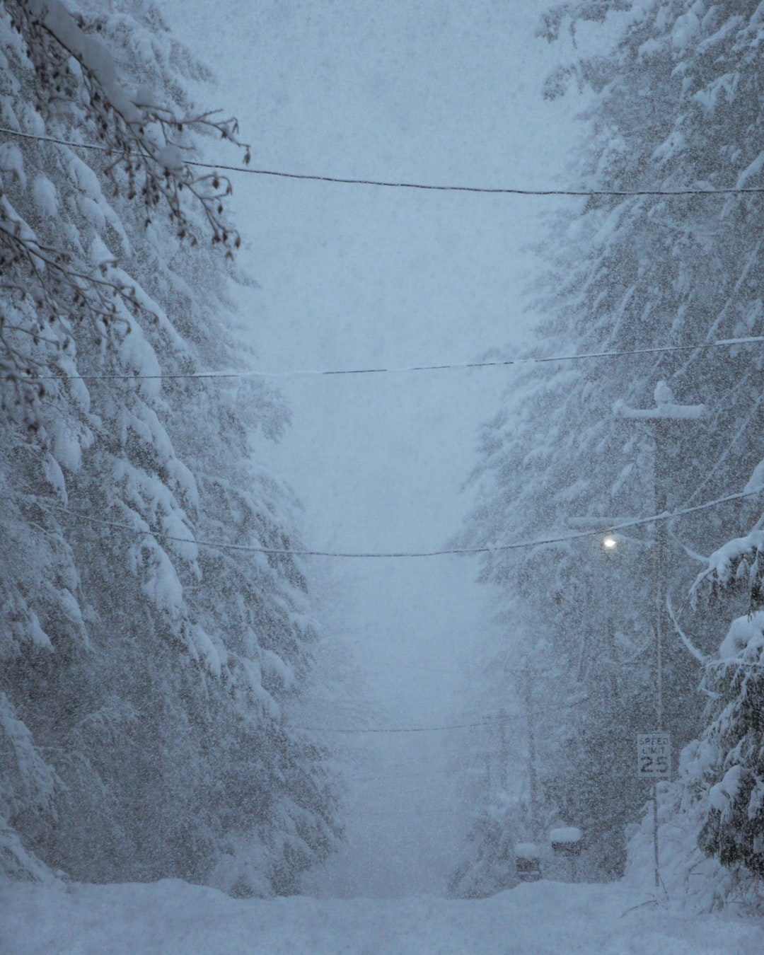 A snow storm in the Pacific Northwest.